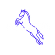 Equestish